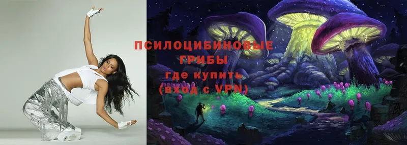 закладка  Инза  Псилоцибиновые грибы Psilocybe 